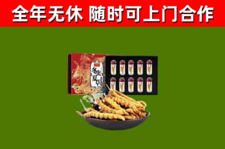 江门回收冬虫夏草价格